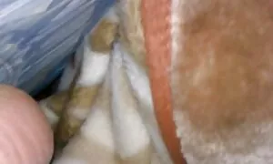 دم عکس و فیلم سکسی خفن نهایی لاتکس
