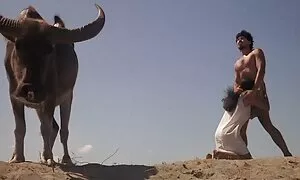 داغ عكس هاي سكسي راشل fucks