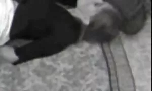 آکورد کانال عکس های سکسی تلگرام والدین خود را بیاموزید